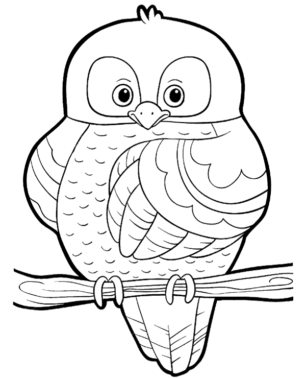 Owl to color