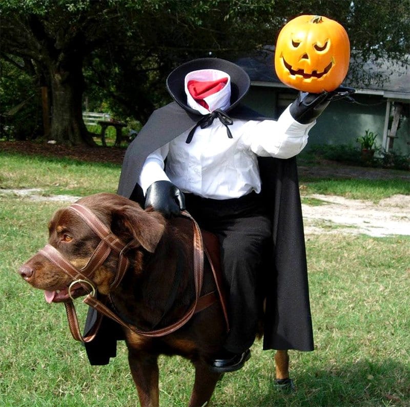 headless Horseman dog costume